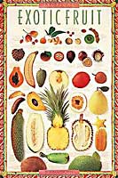 Norman Van Aken - Tropical Exotic Fruit