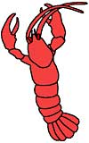 lobster