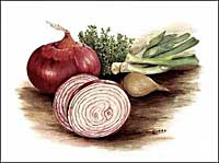 Red Onions