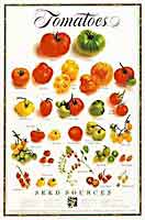 Alice Waters - Tomatoes