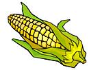 corn on the cob