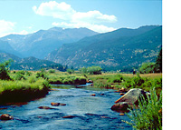 rocky mountain stream